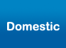 Domestic Digital TV